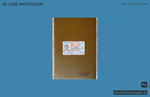 Chile ID-Foto-Beispielvorschau
